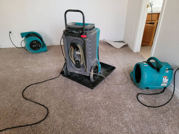 Best 24-hour water damage restoration  in Salem, VA