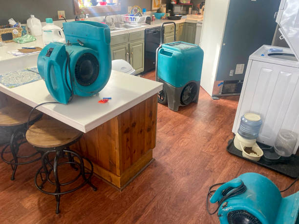 Best Water damage restoration process  in Salem, VA