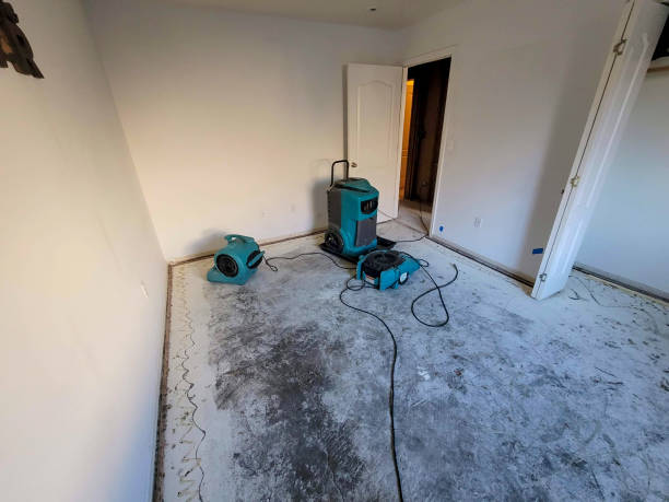 Best Water damage restoration mold remediation  in Salem, VA
