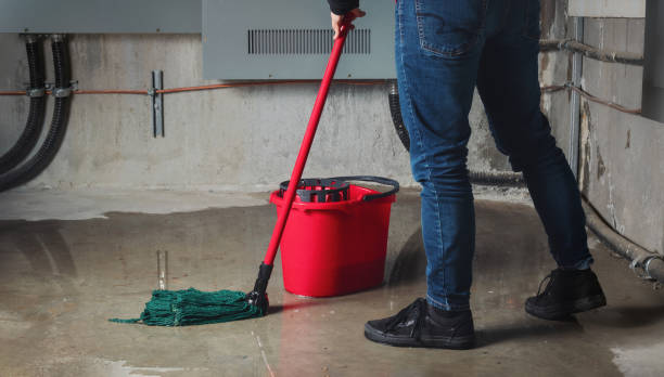 Best Water damage contractors near me  in Salem, VA