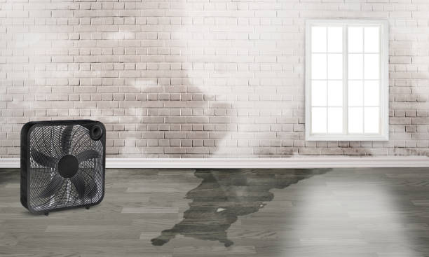 24/7 water damage repair in Salem, VA