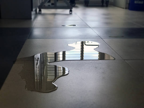 Best 24/7 water damage repair  in Salem, VA