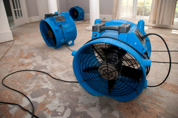 Best 24/7 water damage repair  in Salem, VA