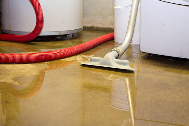 Best Water damage restoration near me  in Salem, VA