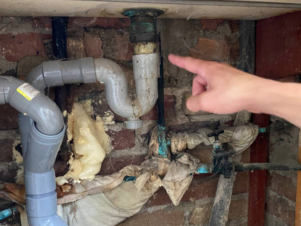 Best Mold removal after water damage  in Salem, VA