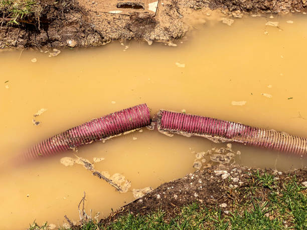 Best Emergency water damage restoration  in Salem, VA