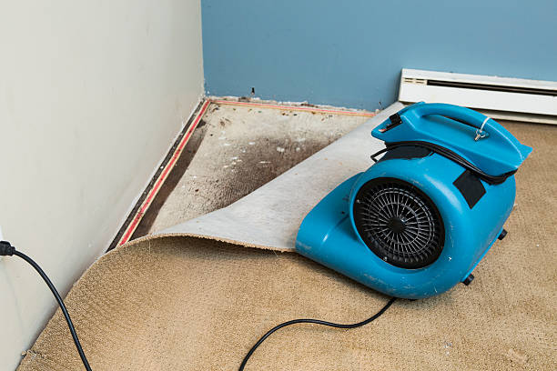 Water damage restoration mold remediation in Salem, VA